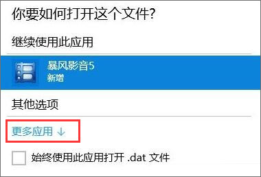 dat文件如何打开 Win10打开dat文件的方法(2)