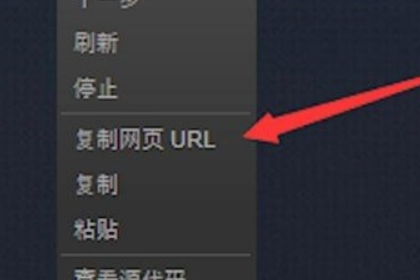 steam个人链接在哪里?steam寻找个人链接的方法(2)