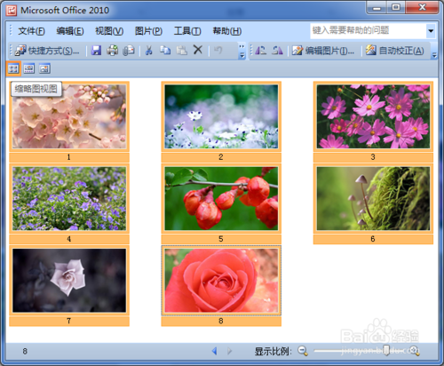 Picture Manage助你快速批量处理图片