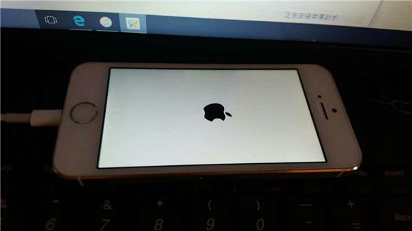 白苹果是什么意思