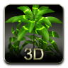 我的3D植物 2.6