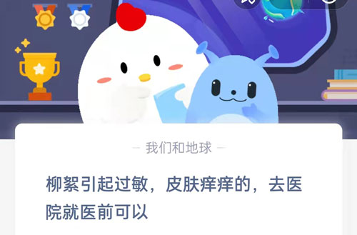 柳絮引起过敏皮肤痒痒的,去医院就医前可以