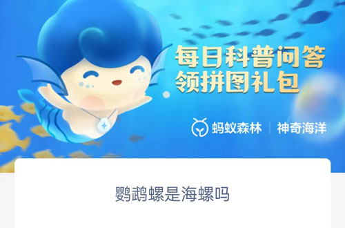 鹦鹉螺是海螺吗