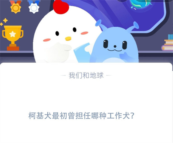 柯基犬最初曾担任哪种工作犬?蚂蚁庄园11.23日答案