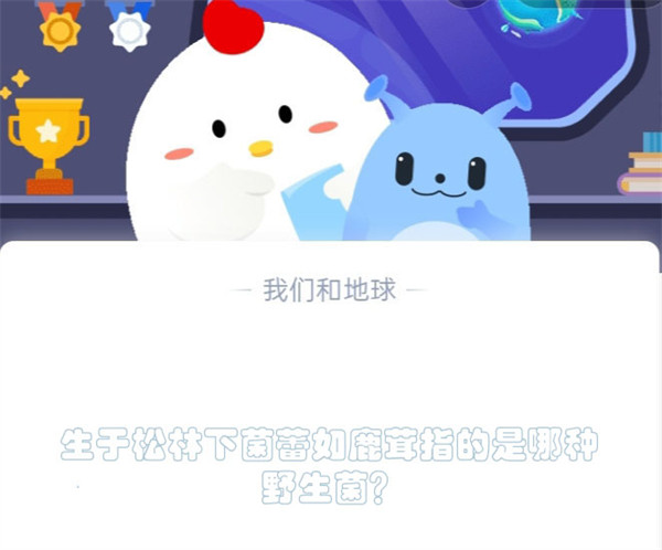 生于松林下菌蕾如鹿茸指的是哪种野生菌?蚂蚁庄园5.18日答案