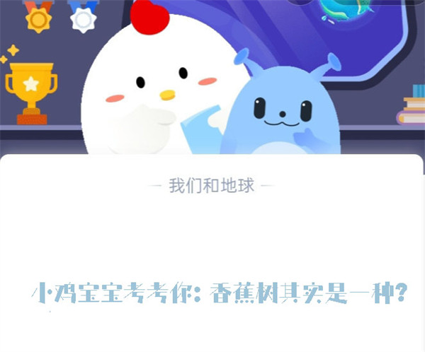 小鸡宝宝考考你:香蕉树其实是一种?蚂蚁庄园6.30日答案