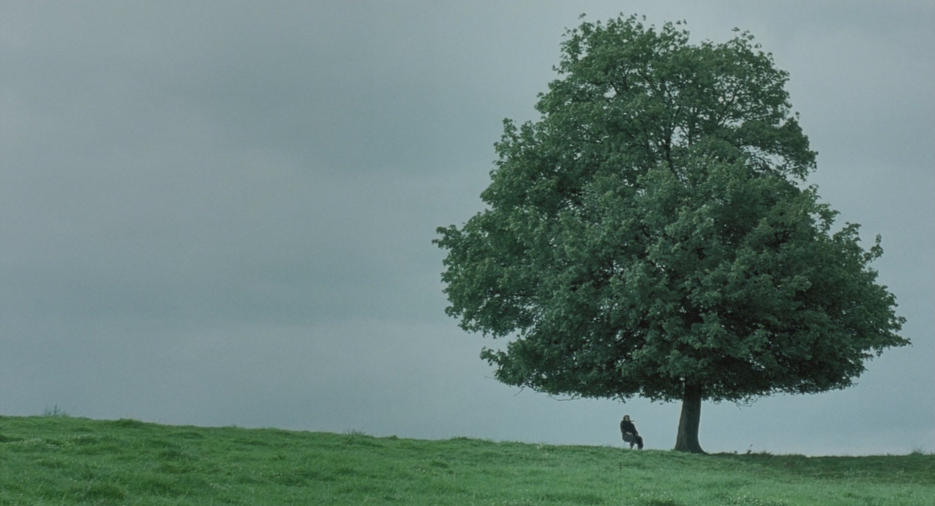 花落花开/塞拉菲娜[外挂中字].Seraphine.2008.1080p.Bluray.DTSHD.x264-CHD 8.71GB-4.jpg
