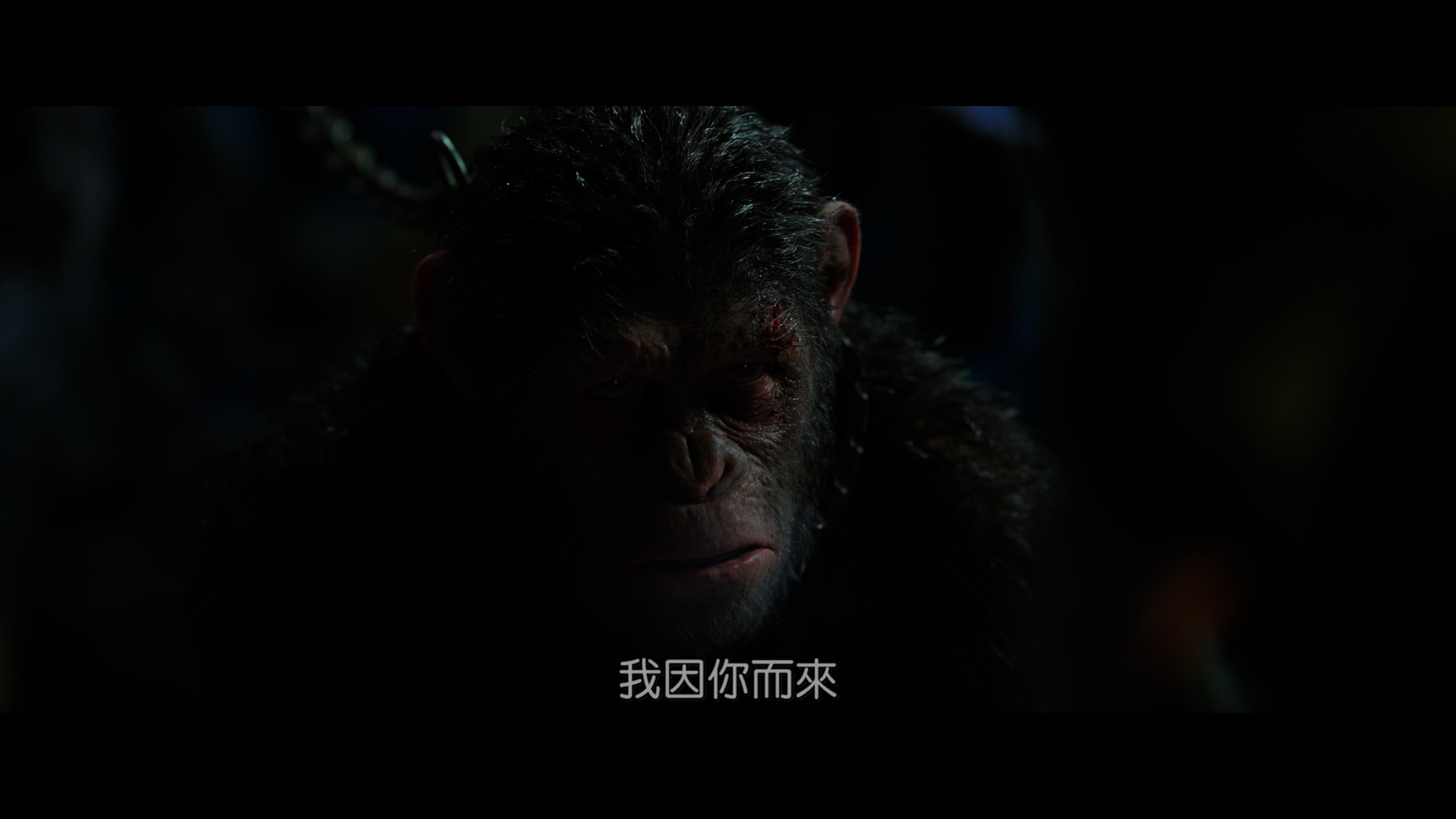 猩球突起3:终极之战/猩球突起:终极决战(台)[UHD DIY 国配音轨/简英繁英双语字幕].War.for.the.Planet.of.the.Apes.2017.2160p.UHD.Blu-ray.HEVC.Atmos.TrueHD7.1-TAG 51.13GB-5.jpg