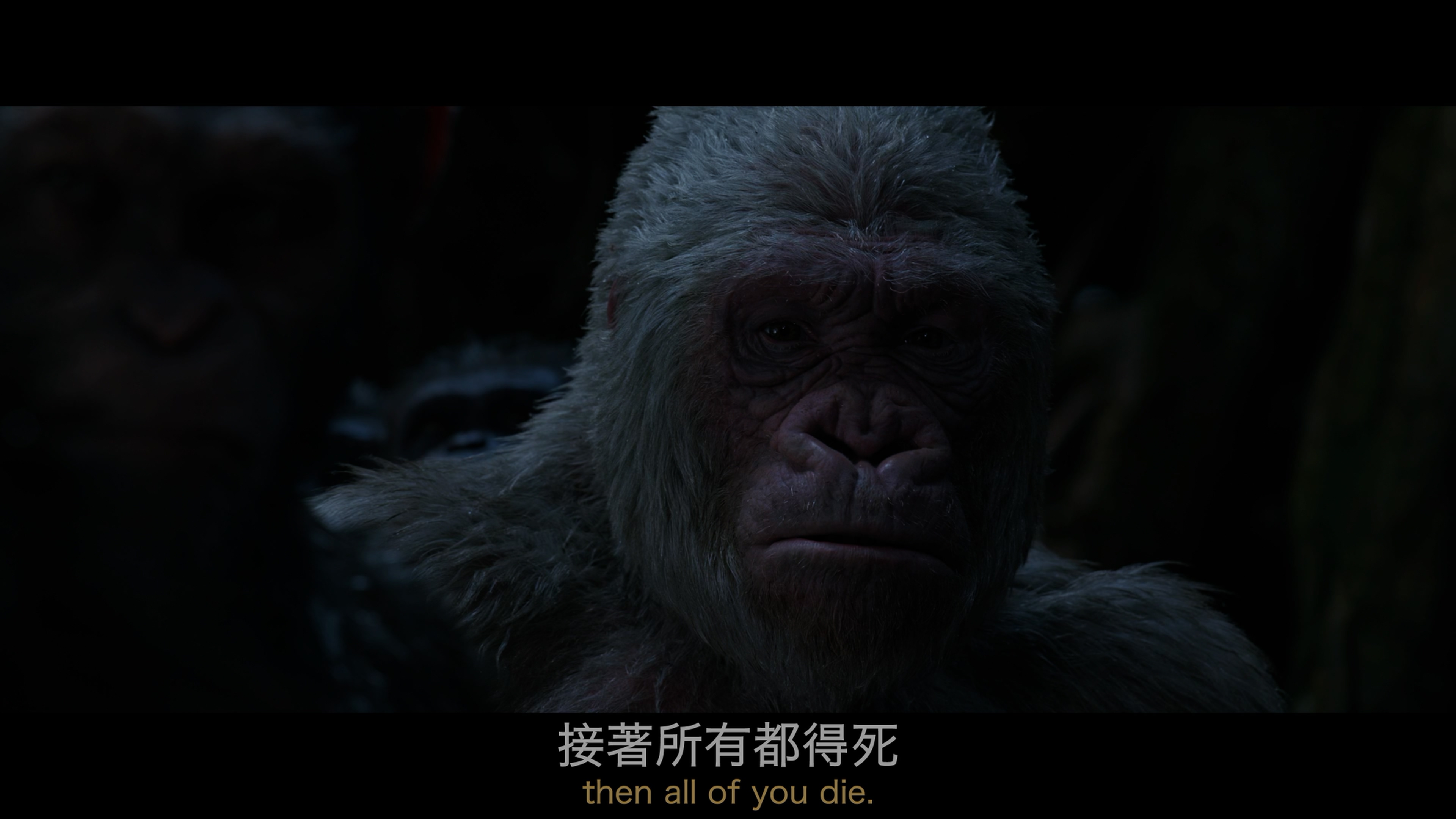 猩球突起3:终极之战/猩球突起:终极决战(台)[UHD DIY 国配音轨/简英繁英双语字幕].War.for.the.Planet.of.the.Apes.2017.2160p.UHD.Blu-ray.HEVC.Atmos.TrueHD7.1-TAG 51.13GB-12.jpg
