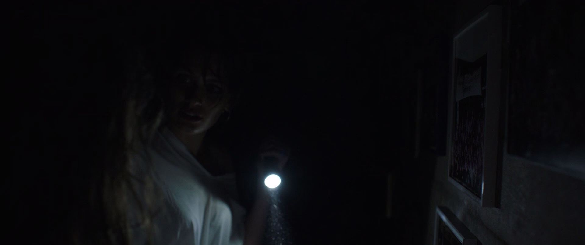 生吃[中英字幕].Raw.AKA.Grave.AKA.Freaking.2016.BluRay.1080p.x265.10bit-MiniHD 4.03GB-2.jpeg