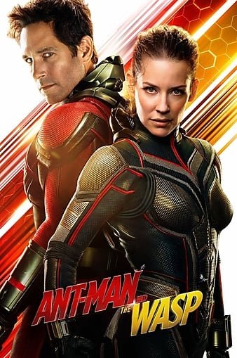 蚁人2:黄蜂女现身/蚁侠2:黄蜂女现身 Ant-Man.and.the.Wasp.2018.1080p.3D.BluRay.Half-OU.x264.TrueHD.7.1.Atmos-FGT 19.77GB-1.jpg 蚁人2:黄蜂女现身/蚁侠2:黄蜂女现身 Ant-Man.and.the.Wasp.2018.1080p.3D.BluRay.Half-OU.x264.TrueHD.7.1.Atmos-FGT 19.77GB-1.jpg