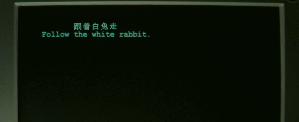 黑客帝国1 [UHD原盘中字 DIY THD次世代国语/国配殊效字幕/双语殊效字幕].The.Matrix.1999.2160p.UHD.Blu-ray.HEVC.TrueHD.7.1-TAG 67.87GB-17.gif