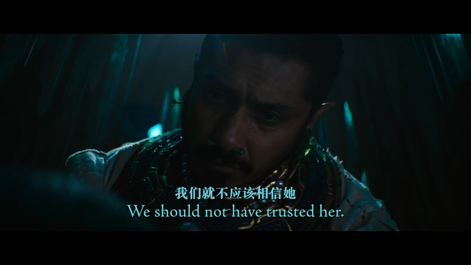 黑豹2：瓦干达万岁[简繁英殊效字幕/定制菜单].Black.Panther.Wakanda.Forever.2022.UHD.BluRay.2160p.Atmos.TrueHD7.1.HEVC-TAG 57.66GB-7.png