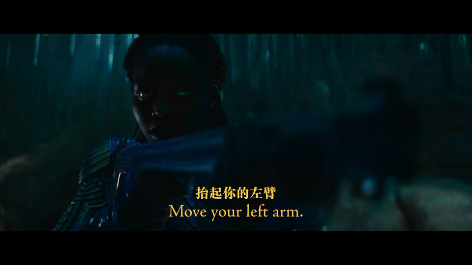 黑豹2：瓦干达万岁[简繁英殊效字幕/定制菜单].Black.Panther.Wakanda.Forever.2022.UHD.BluRay.2160p.Atmos.TrueHD7.1.HEVC-TAG 57.66GB-8.png