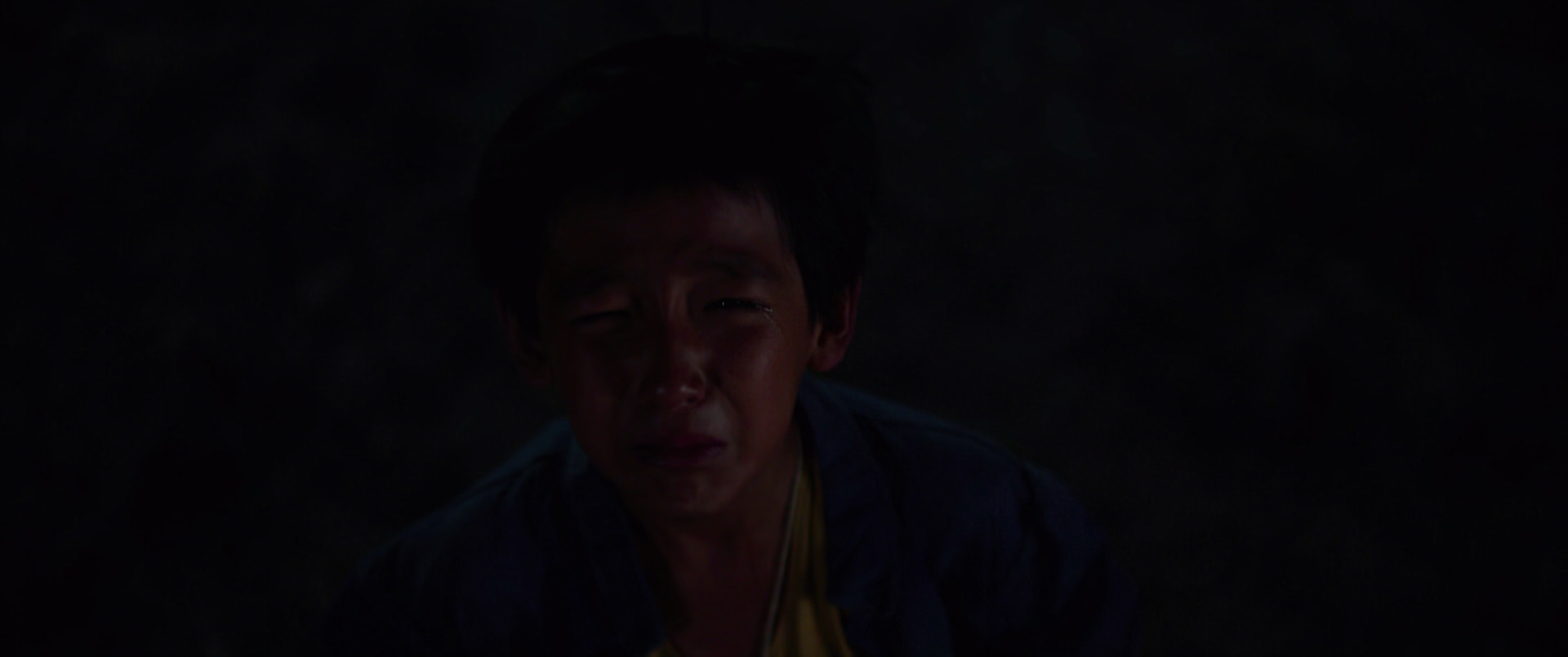 我和我的父辈[国语配音/中笔墨幕].My.Country.My.Parents.2021.Bluray.1080p.TrueHD5.1.x265.10bit-CTRLHD 9.60GB-4.jpeg