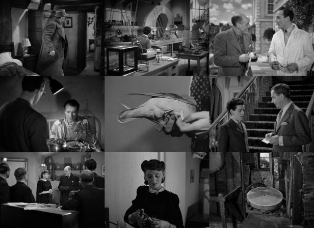 出租的村舍 Cottage.to.Let.1941.720p.BluRay.x264-GHOULS 3.28GB-2.png 出租的村舍 Cottage.to.Let.1941.720p.BluRay.x264-GHOULS 3.28GB-2.png