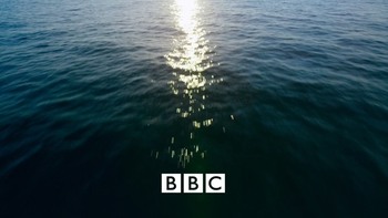 f1e4c3803564313.jpg