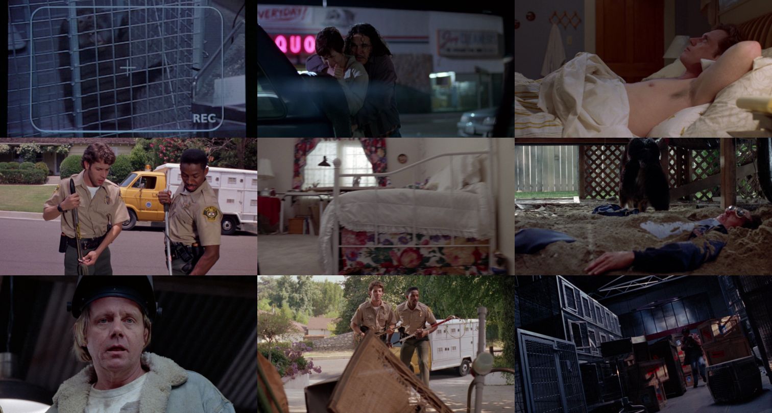 迅雷先锋/麦斯3000 Mans.Best.Friend.1993.720p.BluRay.x264-PSYCHD 5.47GB-2.png 迅雷先锋/麦斯3000 Mans.Best.Friend.1993.720p.BluRay.x264-PSYCHD 5.47GB-2.png