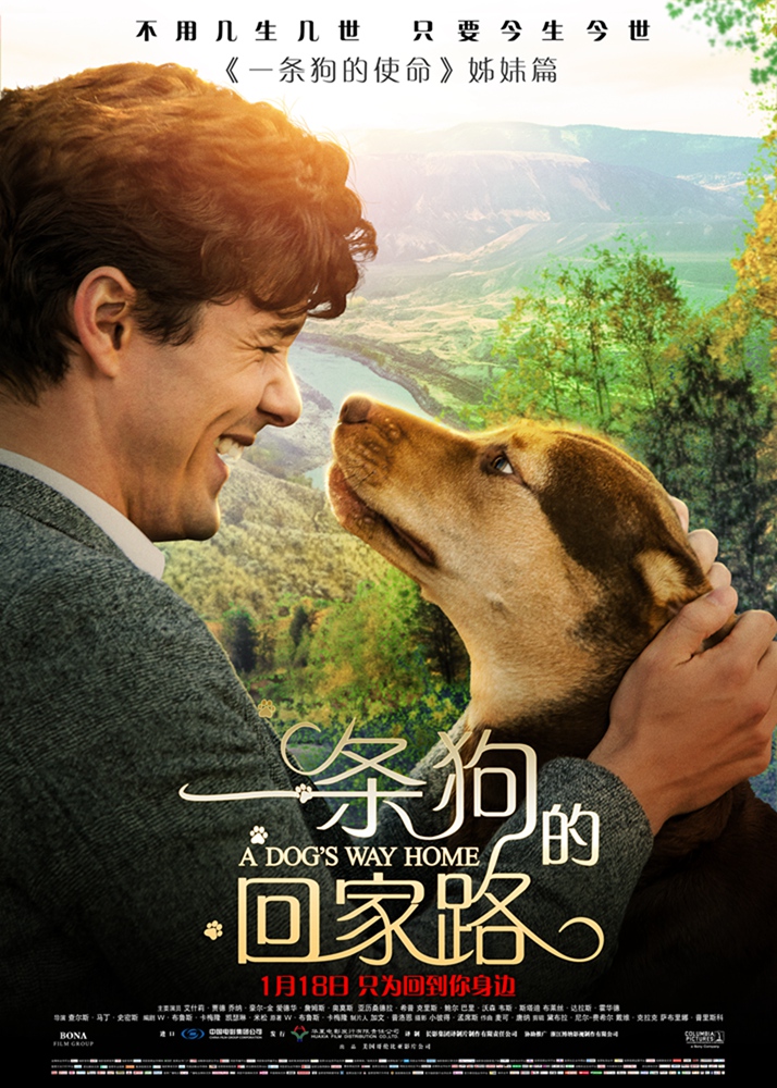 一条狗的回家路 A.Dogs.Way.Home.2019.720p.BluRay.x264-DRONES 4.4GB-1.jpg 一条狗的回家路 A.Dogs.Way.Home.2019.720p.BluRay.x264-DRONES 4.4GB-1.jpg