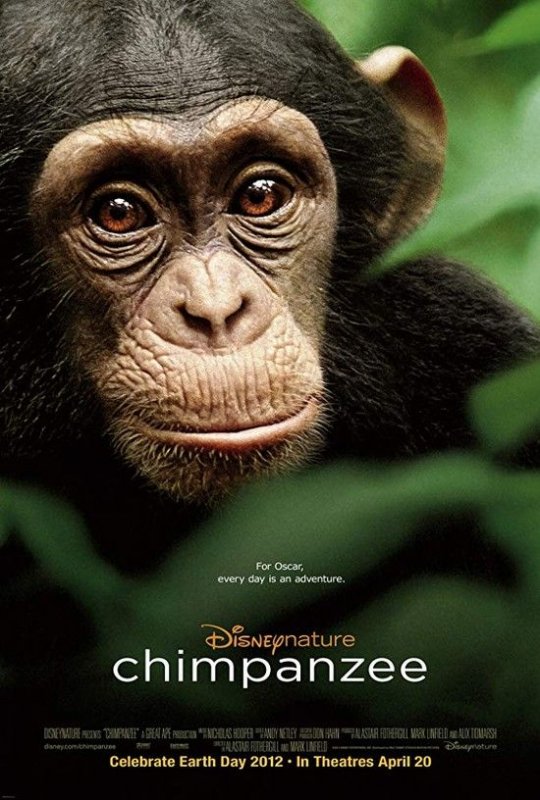 黑猩猩/黑猩猩的天下 Chimpanzee.2012.1080p.BluRay.x264-IGUANA 6.55GB-1.jpg 黑猩猩/黑猩猩的天下 Chimpanzee.2012.1080p.BluRay.x264-IGUANA 6.55GB-1.jpg