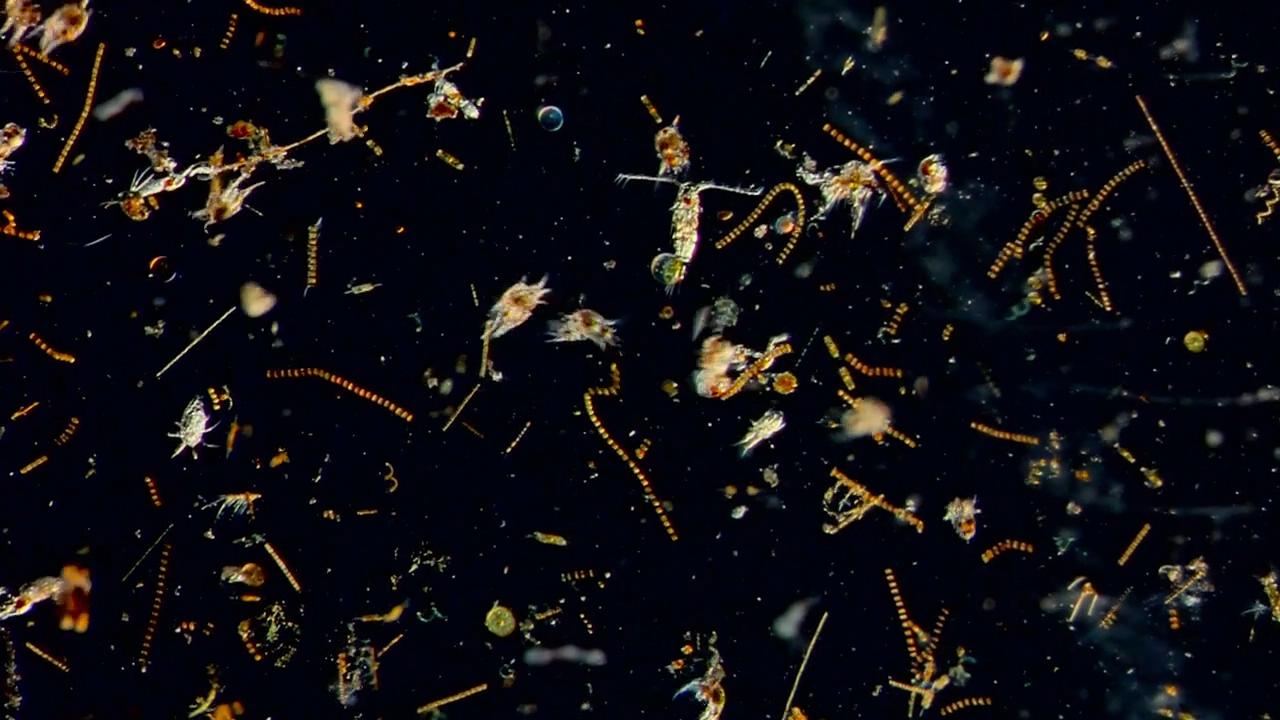 db8e83b257287e6a.jpg db8e83b257287e6a.jpg