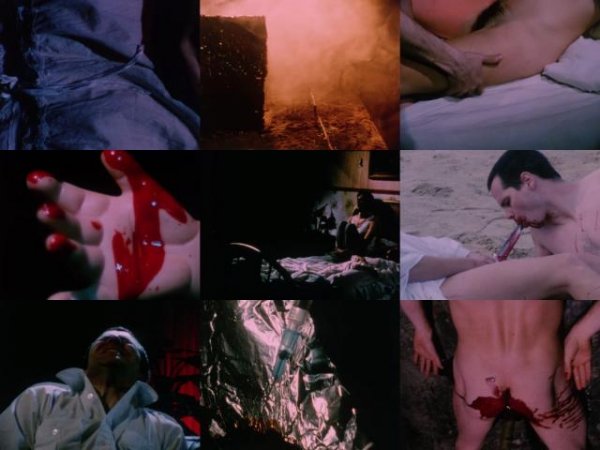 下认识的残暴 Subconscious.Cruelty.2000.720p.BluRay.x264-WiSDOM 3.28GB-2.jpg