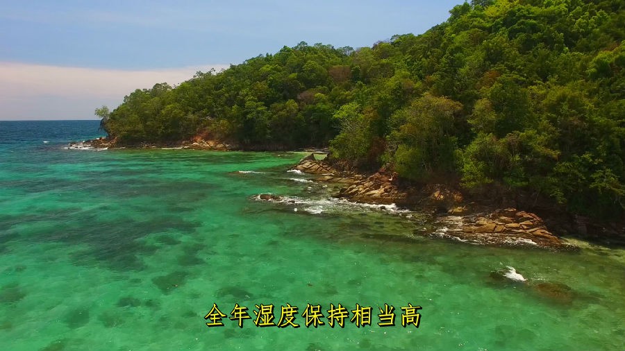 婆罗洲：亚洲的魅力[4K画质 极致影象 出色显现]Borneo Fascinating Asia 2017.UHD.2160p.DTS-HDxH265-中笔墨幕-6.jpg