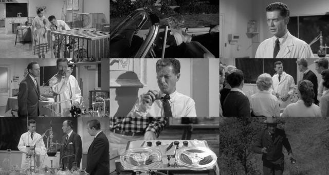 校园怪物 Monster.on.the.Campus.1958.720p.BluRay.x264-WiSDOM 3.28GB-2.png 校园怪物 Monster.on.the.Campus.1958.720p.BluRay.x264-WiSDOM 3.28GB-2.png