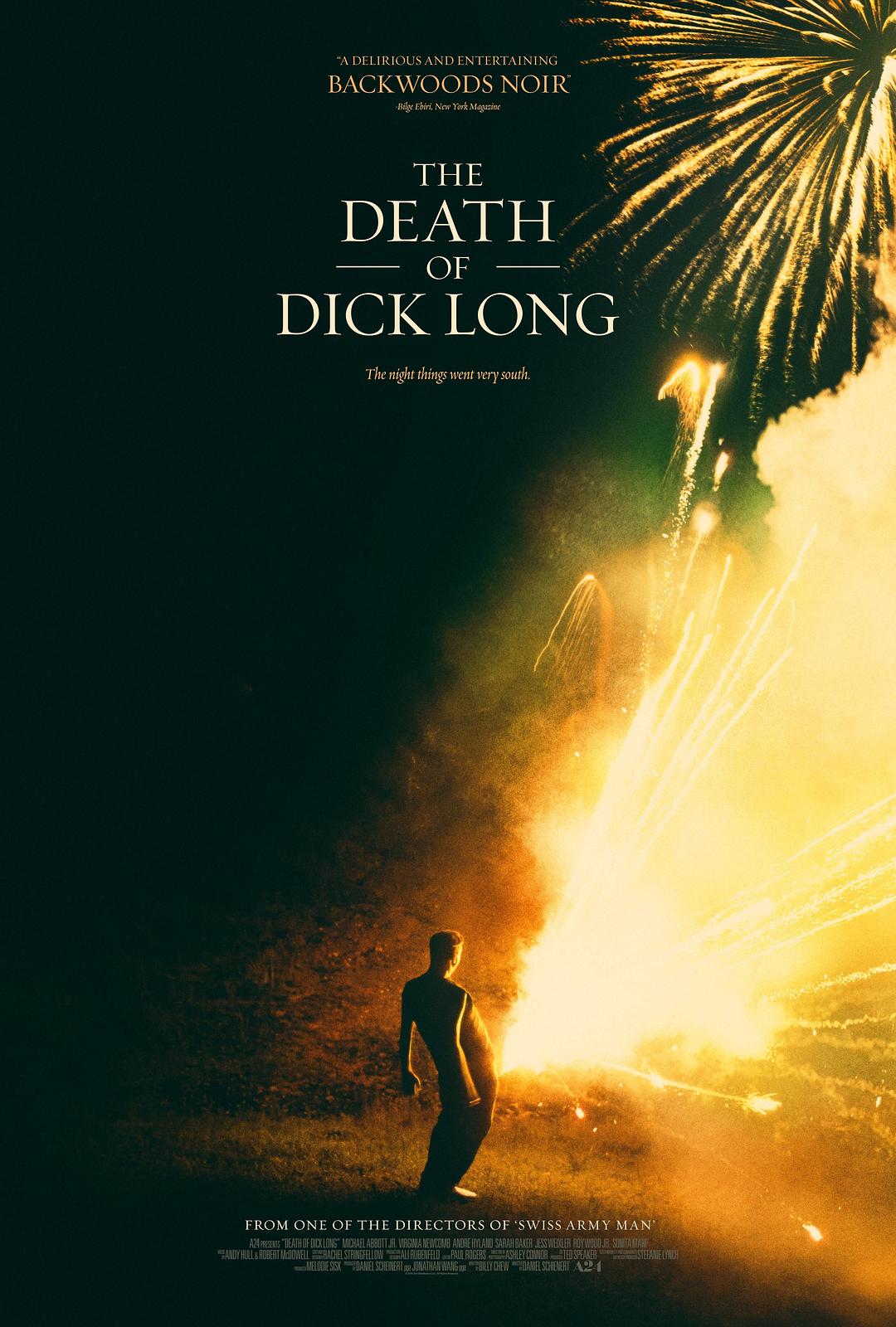 迪克·朗之死/迪克朗之死 The.Death.of.Dick.Long.2019.720p.BluRay.X264-AMIABLE 5.47GB-1.png