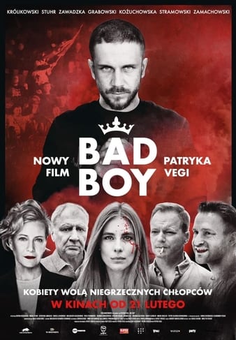坏小子 Bad.Boy.2020.720p.BluRay.x264-SPRiNTER 3.04GB-1.png 坏小子 Bad.Boy.2020.720p.BluRay.x264-SPRiNTER 3.04GB-1.png