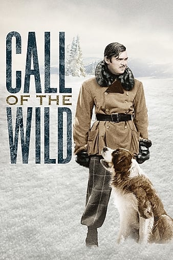 野性的呼唤 The.Call.Of.The.Wild.1935.720p.BluRay.x264-GUACAMOLE 6.63GB-1.png 野性的呼唤 The.Call.Of.The.Wild.1935.720p.BluRay.x264-GUACAMOLE 6.63GB-1.png