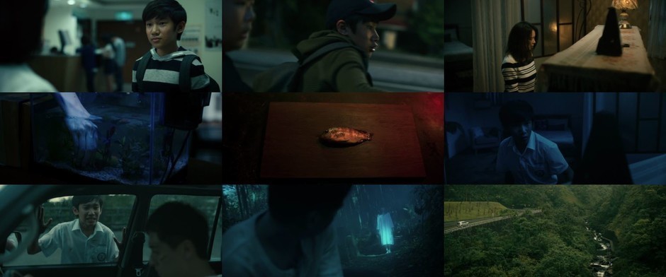人面鱼:红衣小女孩外传 The.Tag-Along.Devil.Fish.2018.720p.BluRay.x264-REGRET 4.38GB-2.jpg 人面鱼:红衣小女孩外传 The.Tag-Along.Devil.Fish.2018.720p.BluRay.x264-REGRET 4.38GB-2.jpg