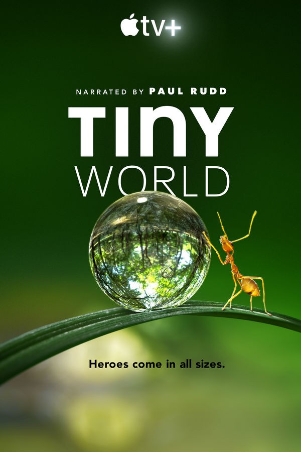 [小小天下 Tiny World 第一季][全06集][MKV][1080P]-1.jpg