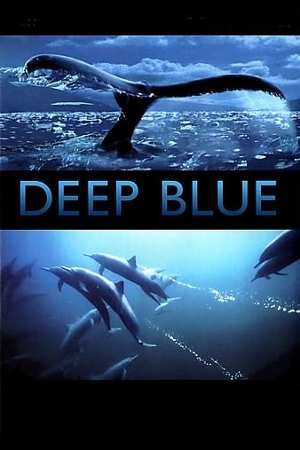 深蓝 Deep.Blue.2003.1080p.BluRay.x264-LCHD 6.55GB-1.jpg 深蓝 Deep.Blue.2003.1080p.BluRay.x264-LCHD 6.55GB-1.jpg