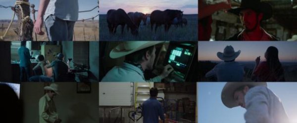 骑士/再生骑士 The.Rider.2017.720p.BluRay.x264-BRMP 5.47GB-2.jpg 骑士/再生骑士 The.Rider.2017.720p.BluRay.x264-BRMP 5.47GB-2.jpg