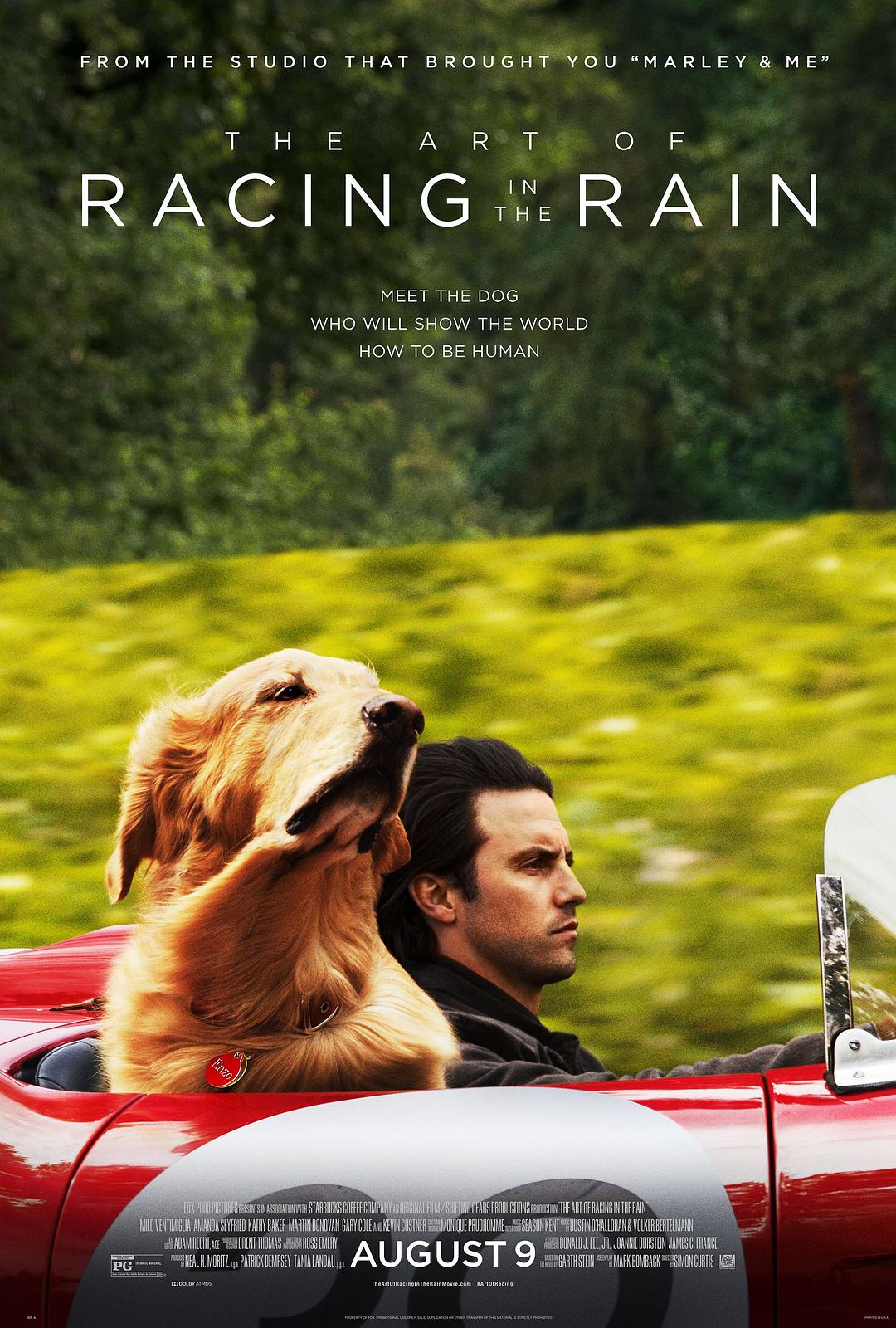 我在雨中等你 The.Art.of.Racing.in.the.Rain.2019.720p.BluRay.x264-DRONES 5.48GB-1.png 我在雨中等你 The.Art.of.Racing.in.the.Rain.2019.720p.BluRay.x264-DRONES 5.48GB-1.png