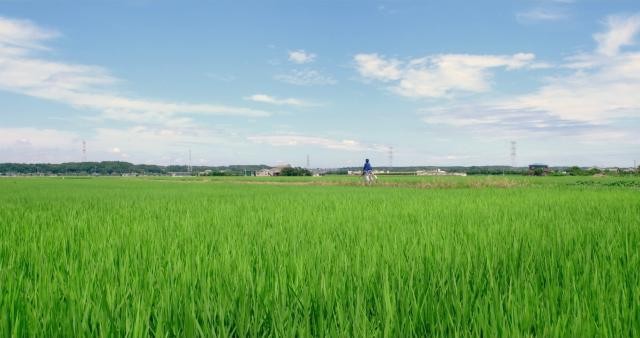 阿谁女孩的俘虏 Anoko.no.Toriko.2018.JAPANESE.720p.BluRay.x264-WiKi 3.80GB-4.jpg 阿谁女孩的俘虏 Anoko.no.Toriko.2018.JAPANESE.720p.BluRay.x264-WiKi 3.80GB-4.jpg