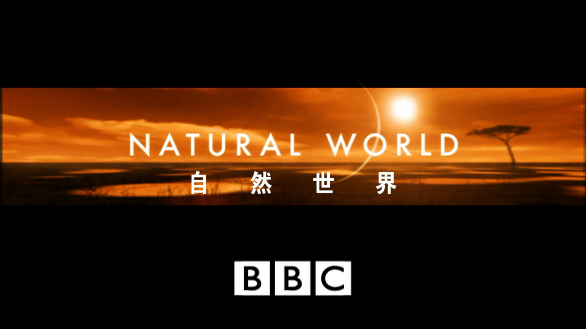 BBC行星地球/地球脉动 [出格版][DIY 次世代国语 简繁殊效中字].Planet.Earth.2006.Special.Edition.Blu-ray.1080i.VC-1.DTS-HD.HR.5.1-TAG 174.55GB-5.png