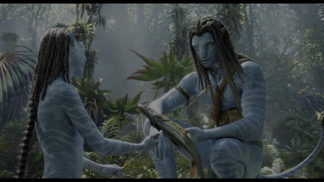 阿凡达:水之道.Avatar.The.Way.of.Water.2022.2160p.MA.WEB-DL.x265.10bit.HDR.DDP5.1.Atmos-CM 34.24GB-2.png 阿凡达:水之道.Avatar.The.Way.of.Water.2022.2160p.MA.WEB-DL.x265.10bit.HDR.DDP5.1.Atmos-CM 34.24GB-2.png