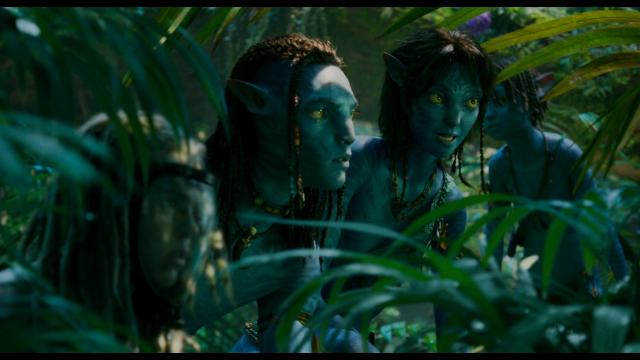 阿凡达:水之道.Avatar.The.Way.of.Water.2022.2160p.MA.WEB-DL.DDP5.1.Atmos.DV.MKV.x265-CM 34.26GB-4.png 阿凡达:水之道.Avatar.The.Way.of.Water.2022.2160p.MA.WEB-DL.DDP5.1.Atmos.DV.MKV.x265-CM 34.26GB-4.png