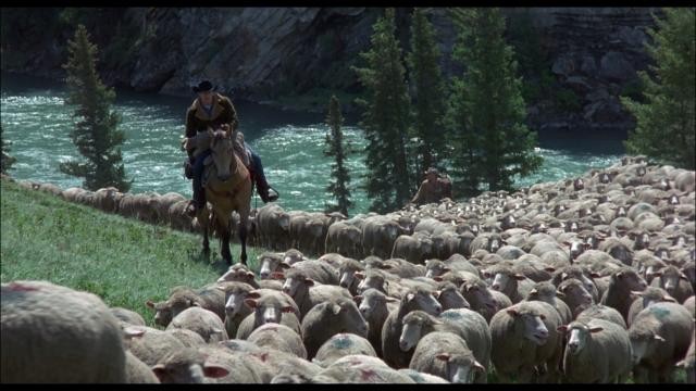 断背山/断臂山 Brokeback.Mountain.2005.1080p.BluRay.VC-1.DTS-HD.MA.5.1-FGT 32.51GB-9.jpg 断背山/断臂山 Brokeback.Mountain.2005.1080p.BluRay.VC-1.DTS-HD.MA.5.1-FGT 32.51GB-9.jpg