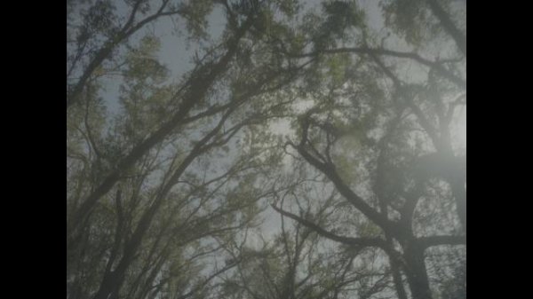 073954wxoxbjzfozd0jxxf.jpg 073954wxoxbjzfozd0jxxf.jpg