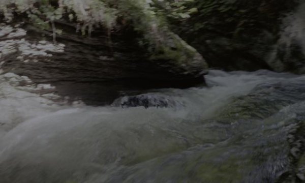 162907vgu5jdazgvd5cul5.jpg 162907vgu5jdazgvd5cul5.jpg