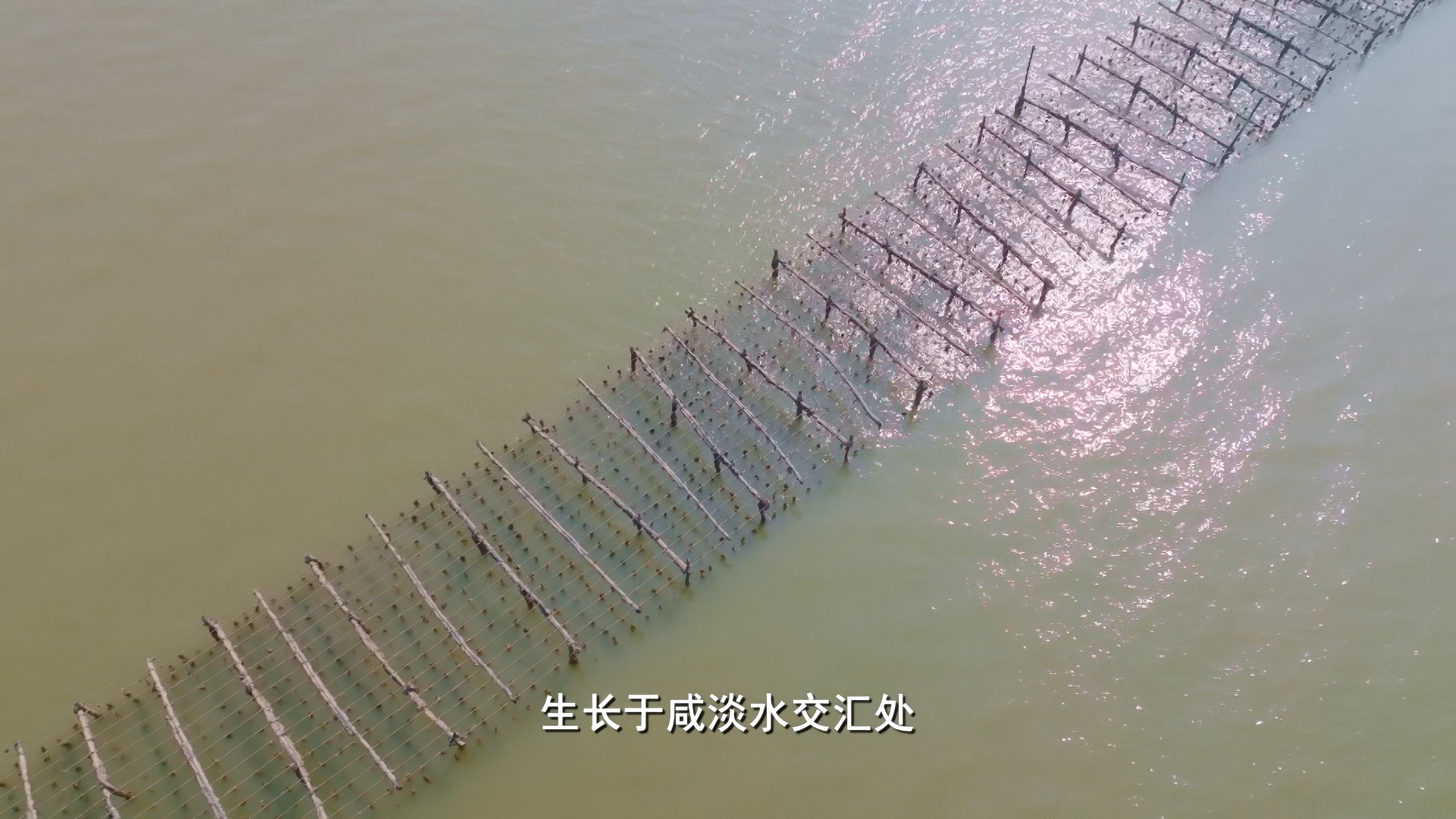 [2022][中国][记载]老广的味道 第七季[全6集].A.Bite.Of.Guangdong.S07.2022.2160p.HQ.WEB-DL.AAC2.0.H.265-TAG 35.36GB-4.jpg