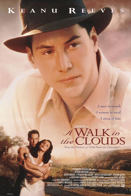 云中漫步.A.Walk.in.the.Clouds.1995.1080p.BluRay.x264-DJYDXS