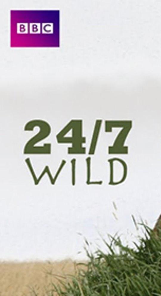 全天候野生动物追踪[全5集][中文字幕].24-7.Wild.S01.2011.1080p.WEB-DL.H264.AAC-ZeroTV 4.09GB